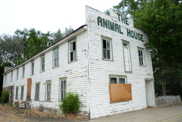 Animal House